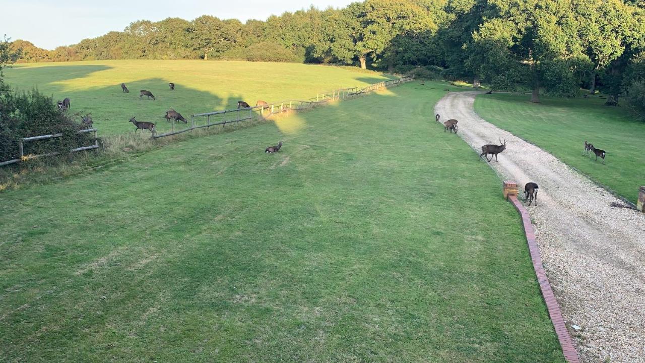 Yards Brake On 40 Acres Of Private Land Villa Langton Matravers Kültér fotó