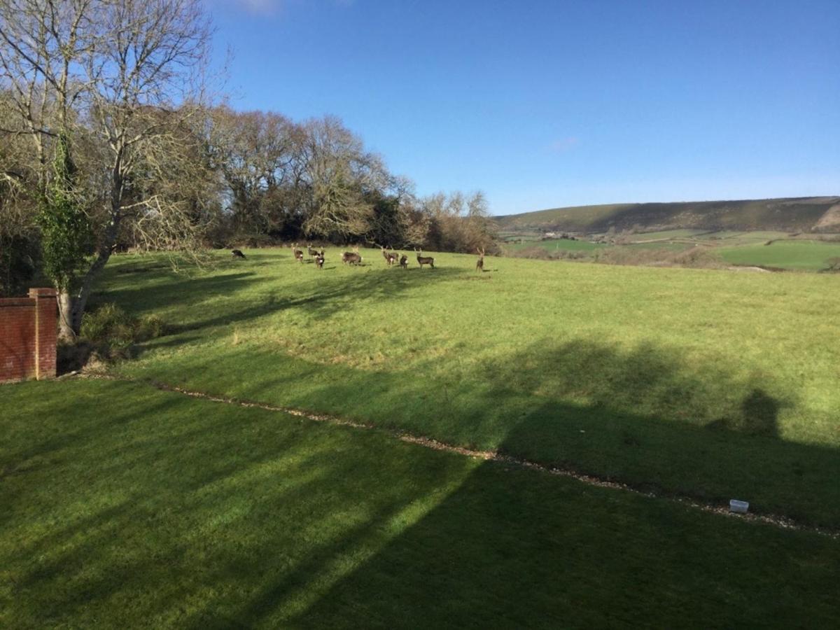 Yards Brake On 40 Acres Of Private Land Villa Langton Matravers Kültér fotó
